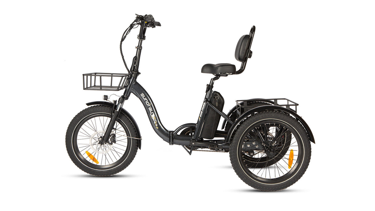 Eunorau One Trike Electric Fat Tire Tricycle