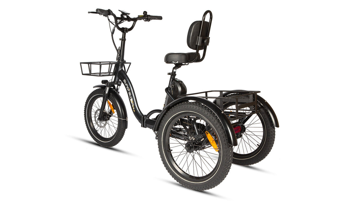 Eunorau One Trike Electric Fat Tire Tricycle