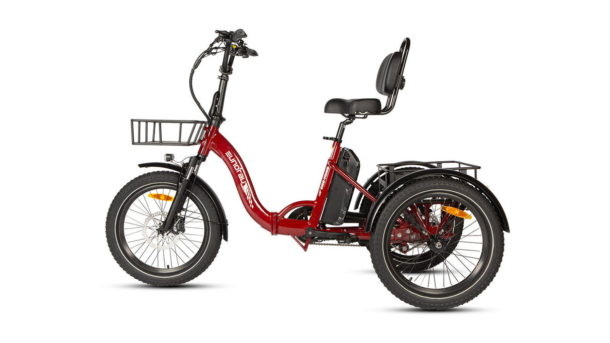 Eunorau One Trike Electric Fat Tire Tricycle