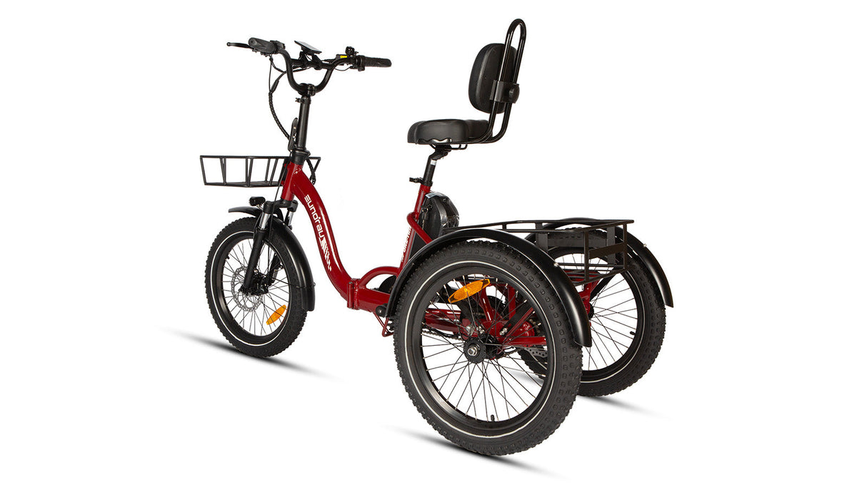 Eunorau One Trike Electric Fat Tire Tricycle