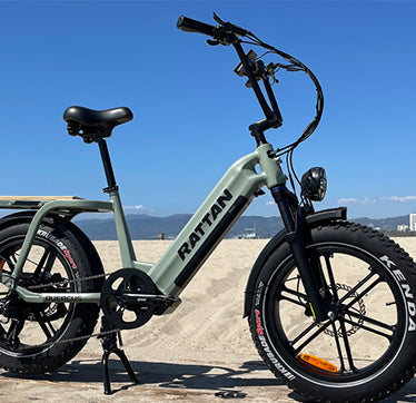 Rattan Quercus Fat Tire 750W 48V Cargo Electric Bike