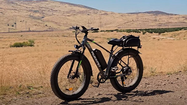 Mukkpet Suburban 750W Fat Tire Electric Bike
