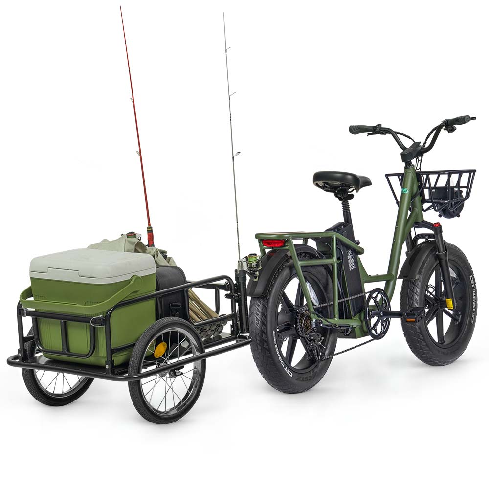 Fiido T1 Pro Cargo E-Bike, Fat Tire, 60Nm, 750W Motor