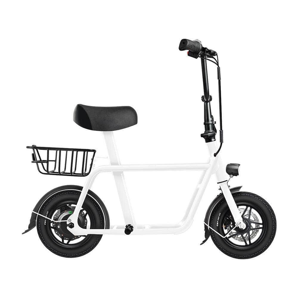 Fiido Q1 Electric Folding Scooter
