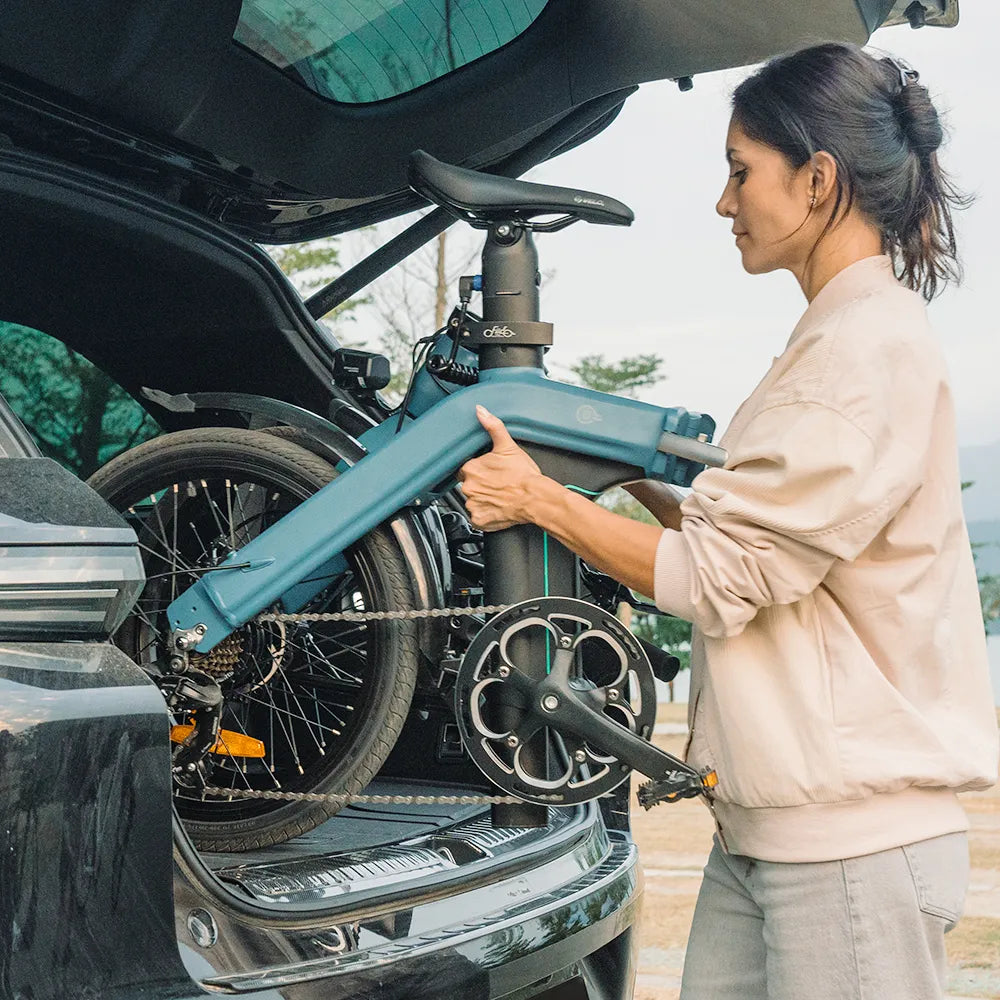 Fiido 250W D11 Folding Commuter Electric Bike