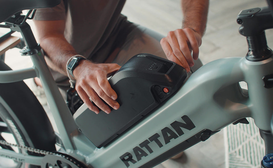 Rattan Quercus Fat Tire 750W 48V Cargo Electric Bike