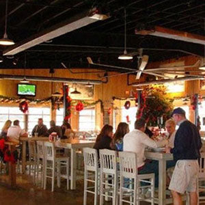 Calcana 15' Standard Output Gas Patio Heater in Stainless Steel - PH 50A (NG)