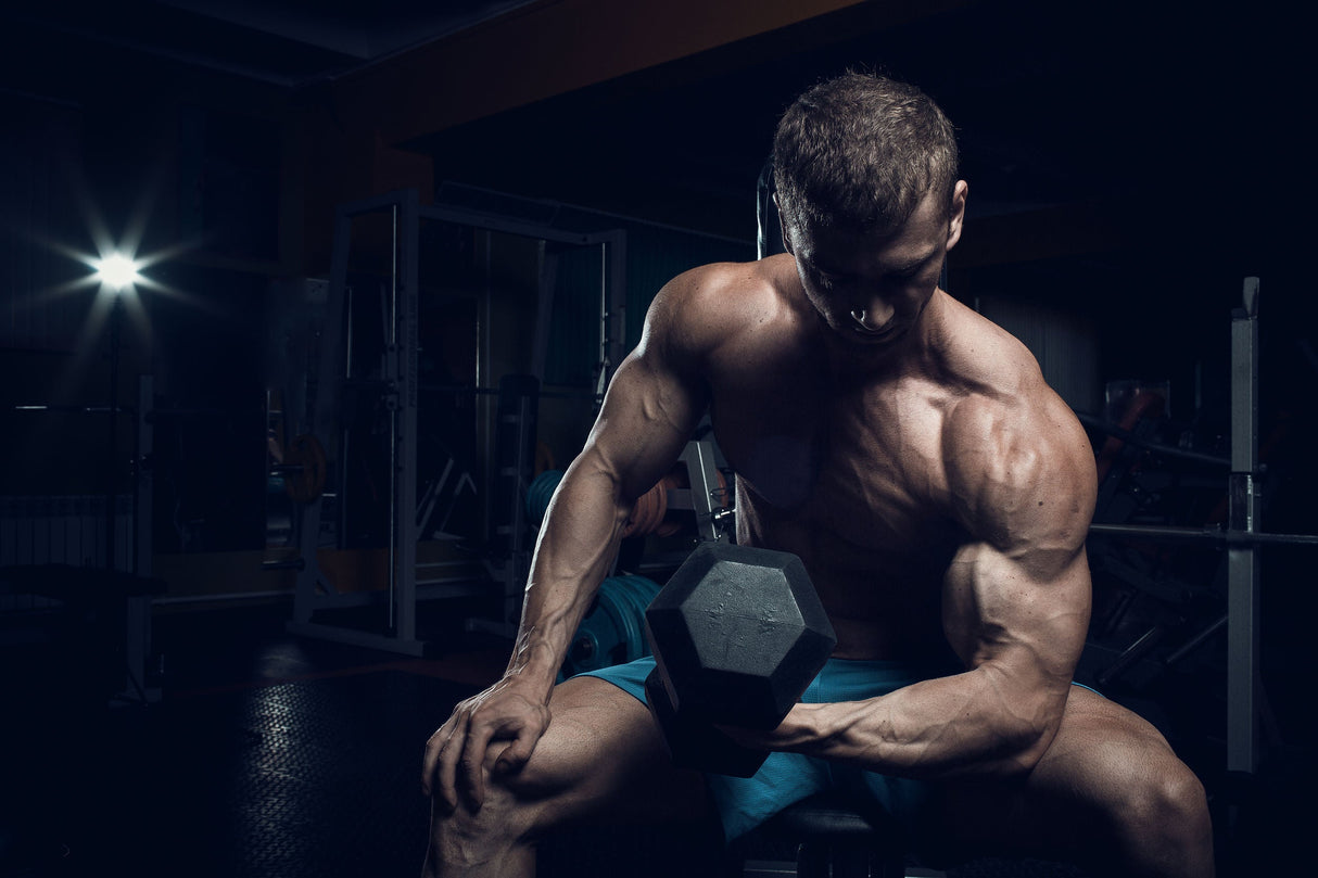 USA Dumbbell Set 5-75 lb (Hex Rubber) with Rack