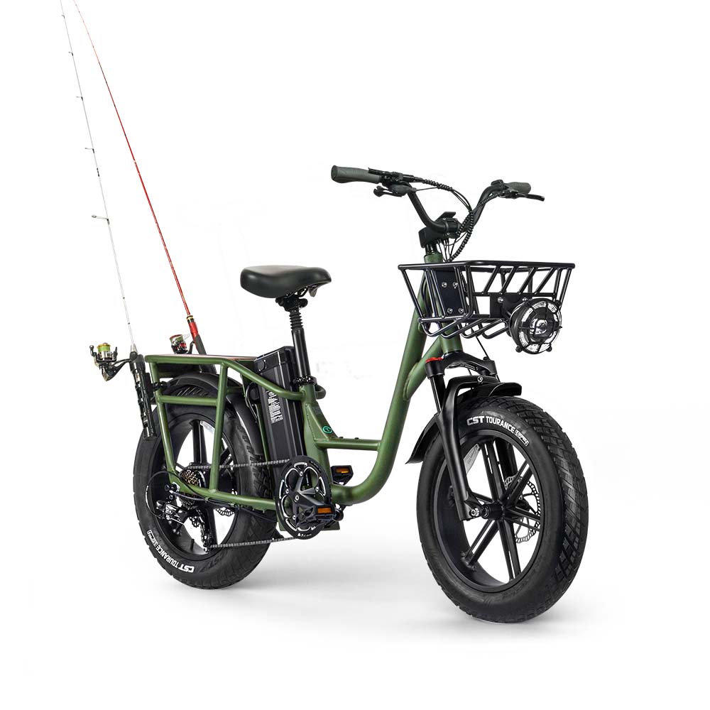 Fiido T1 Pro Cargo E-Bike, Fat Tire, 60Nm, 750W Motor