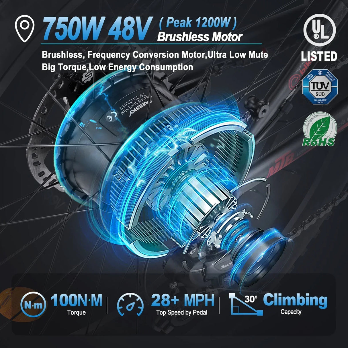 FREESKY Himalay X-5e 750 w Mountain Ebike 4 Fat Tire Electric Fat Tire Mountain eBike