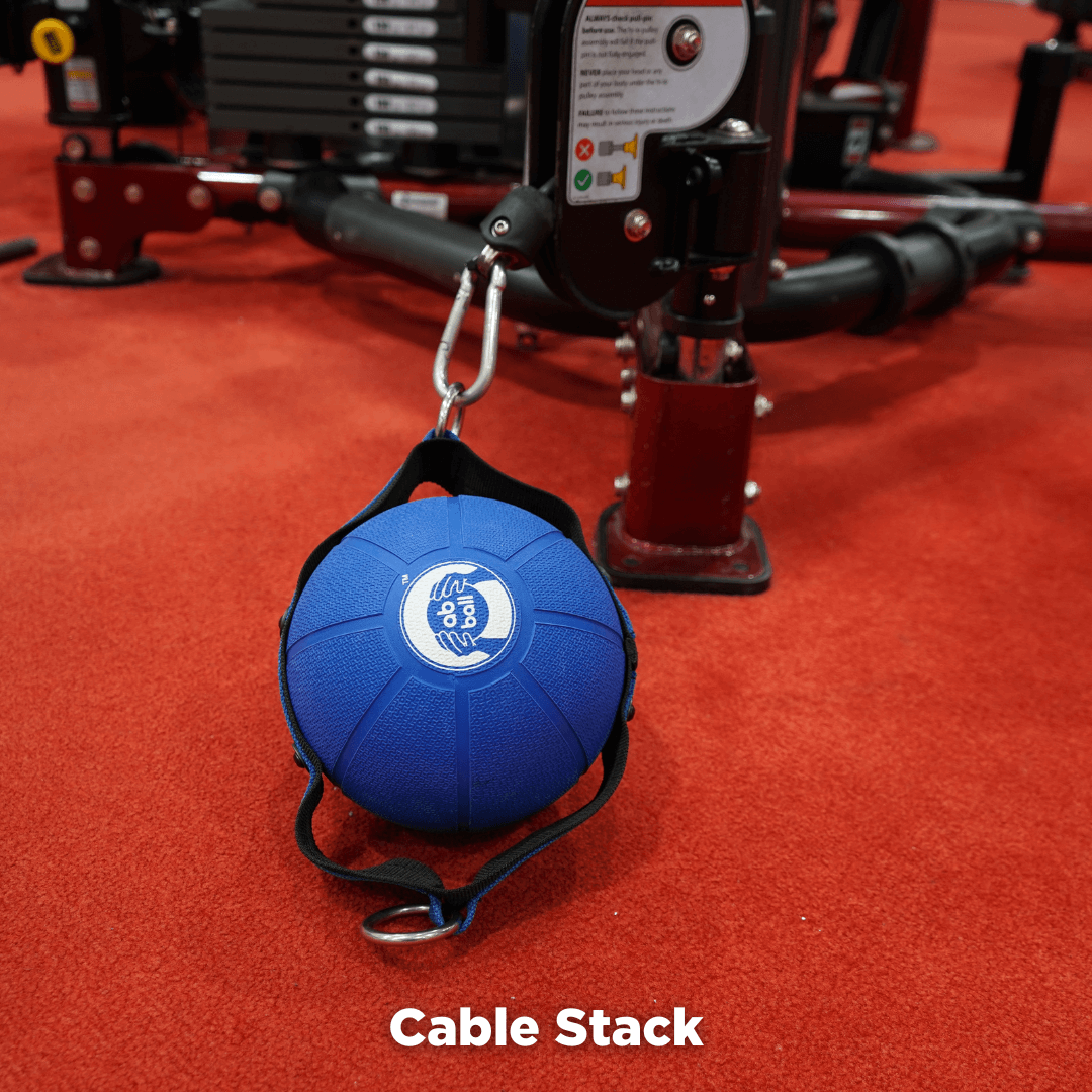 The Abs Company The Ab Ball™ System