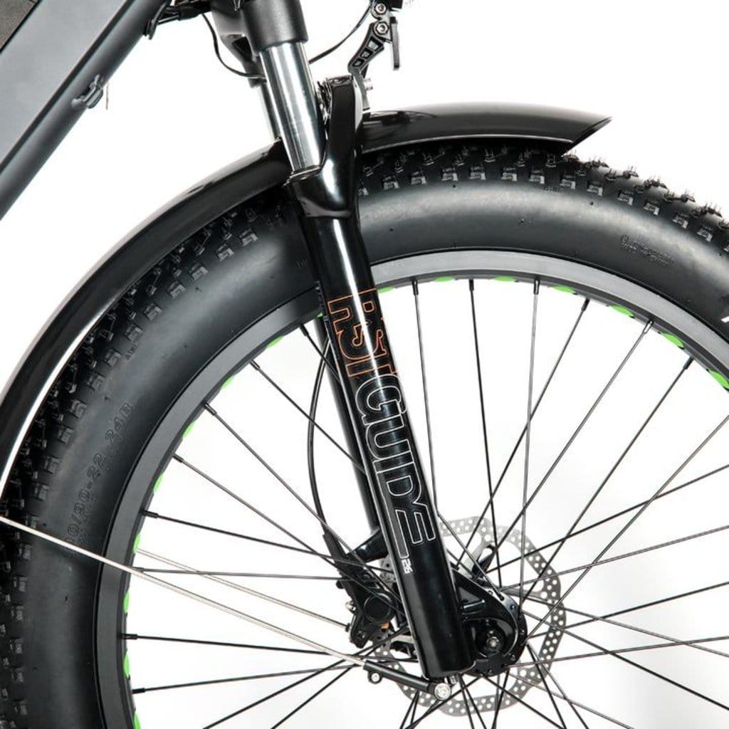 EUNORAU FAT-HD 1000W 48V Fat Tire Mountain Electric Bike
