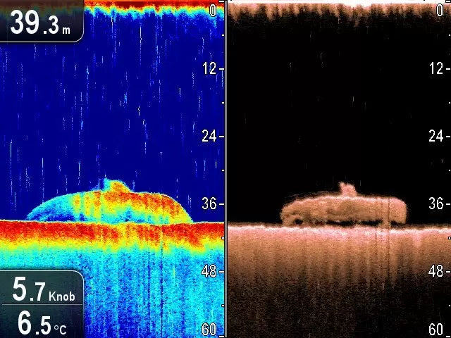 Raymarine CP100 Sonar Module