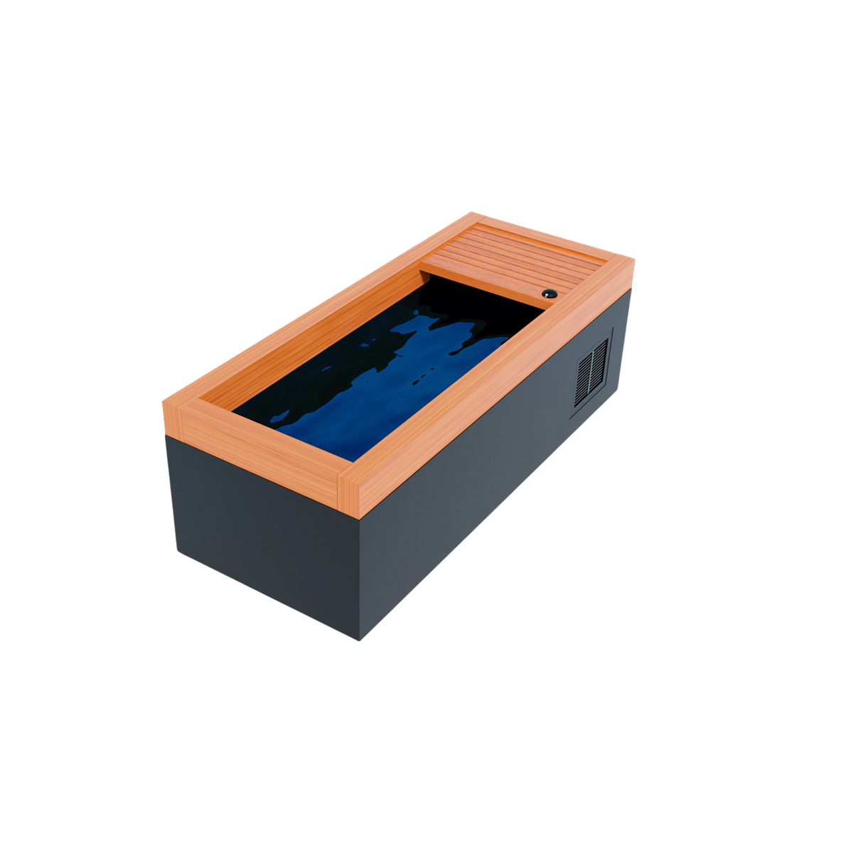 Medical Frozen 1 Cold Plunge