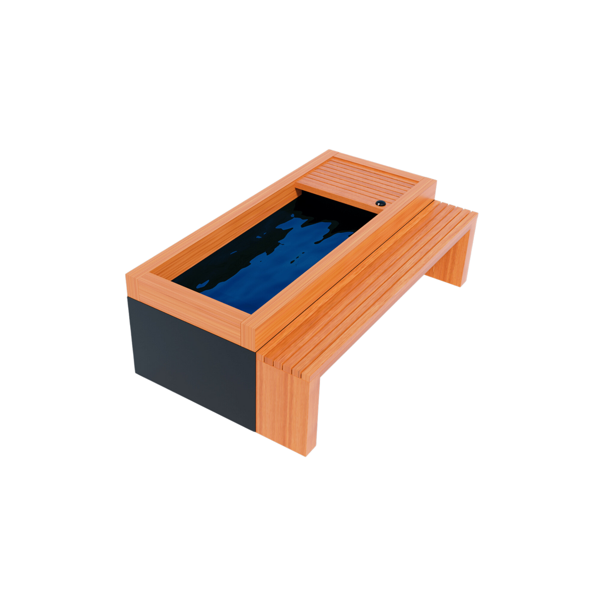 Medical Frozen 2 Cold Plunge