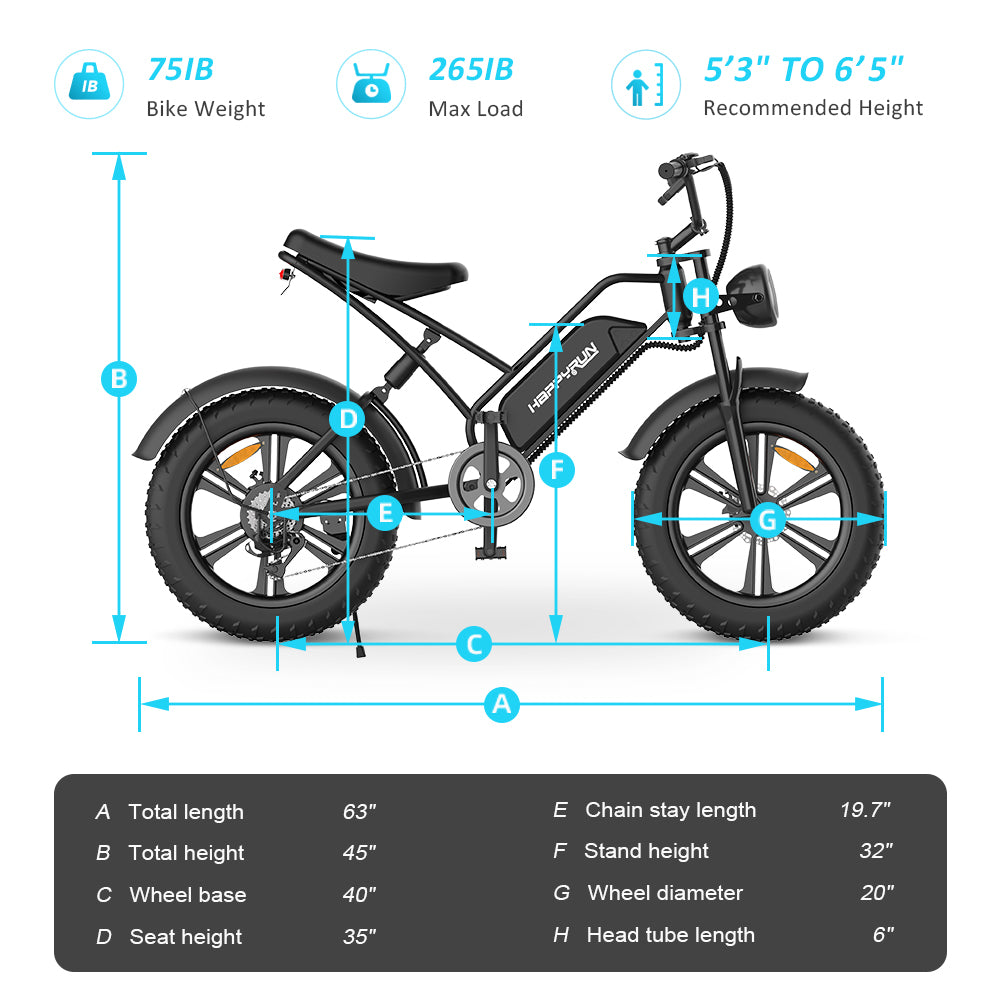 Happyrun Electric Bike Fat Tire Cargo City E-bike G50
