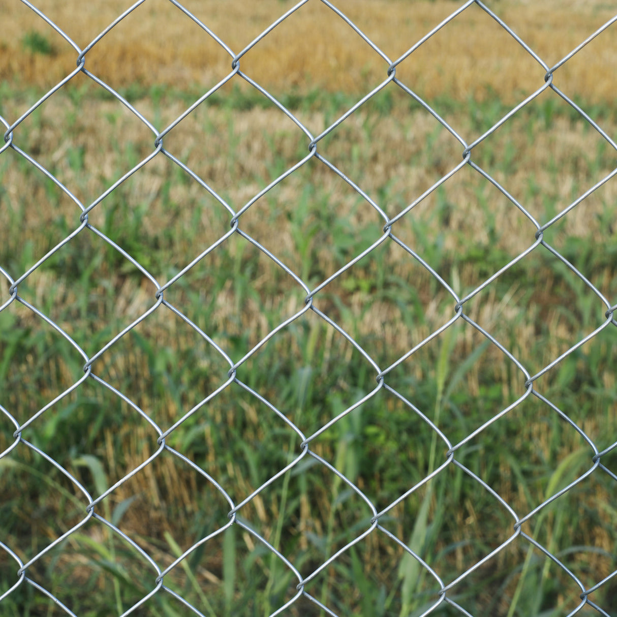 Aleko Galvanized Steel Chain Link Fence - Complete Kit - 5 x 50 Feet – 12.5 AW Gauge