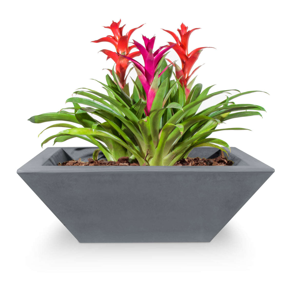 The Outdoor Plus Maya Concrete Planter Bowl