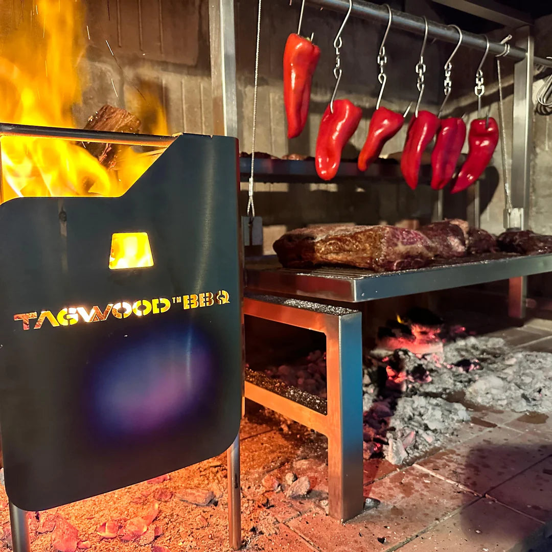 Tagwood BBQ Insert Style Argentine Santa Maria Wood Fire & Charcoal Gaucho Grill without firebricks | BBQ09SS -