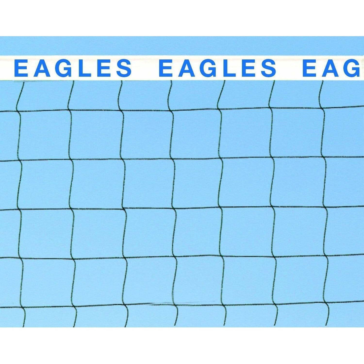 Bison Centerline Elite Beach Volleyball Complete System SVB1000