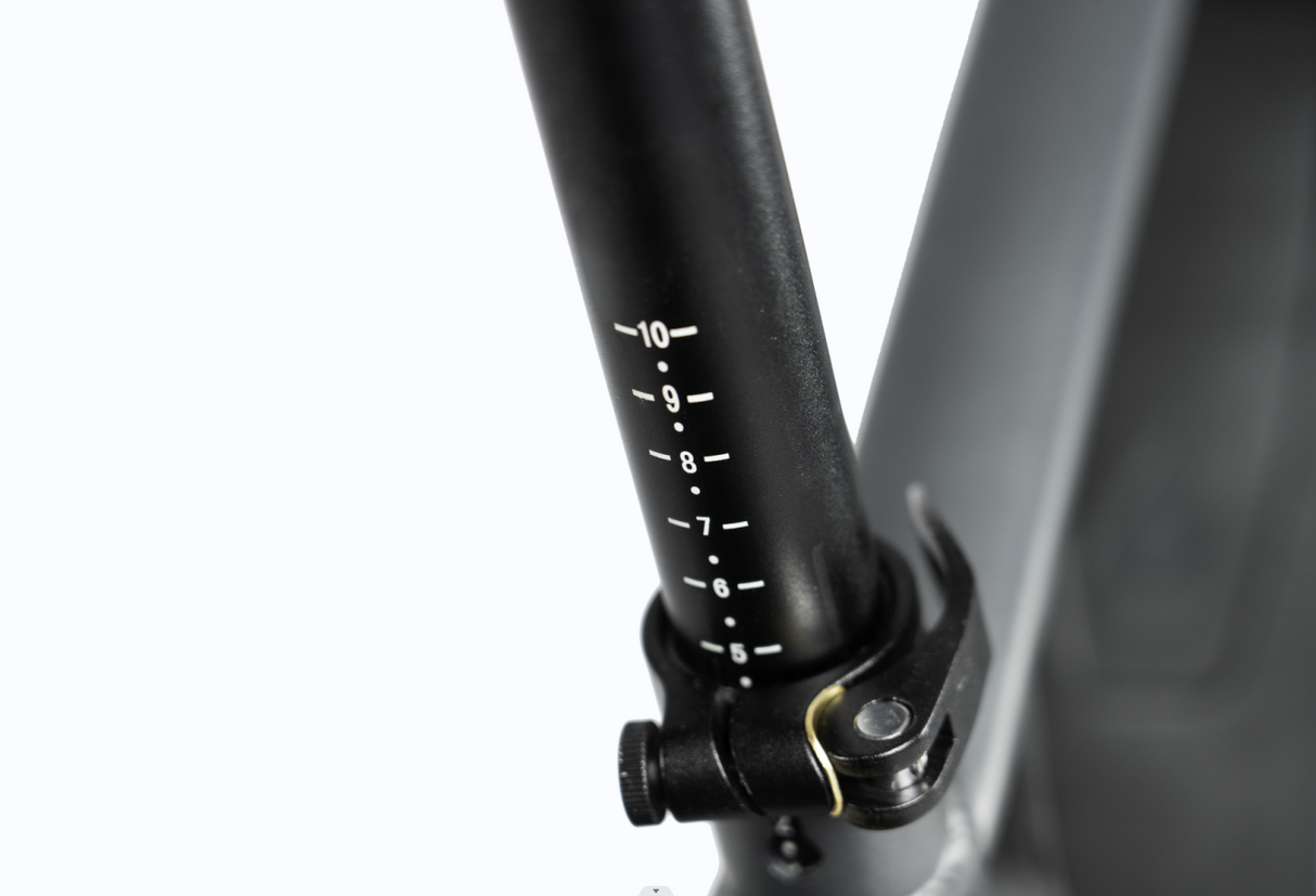 Mukkpet Suburban 750W Fat Tire Electric Bike