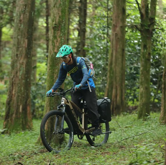 Frey Bike-Touring E-Bike - Bafang Rear Hub Motor - Range Up To 125 Miles