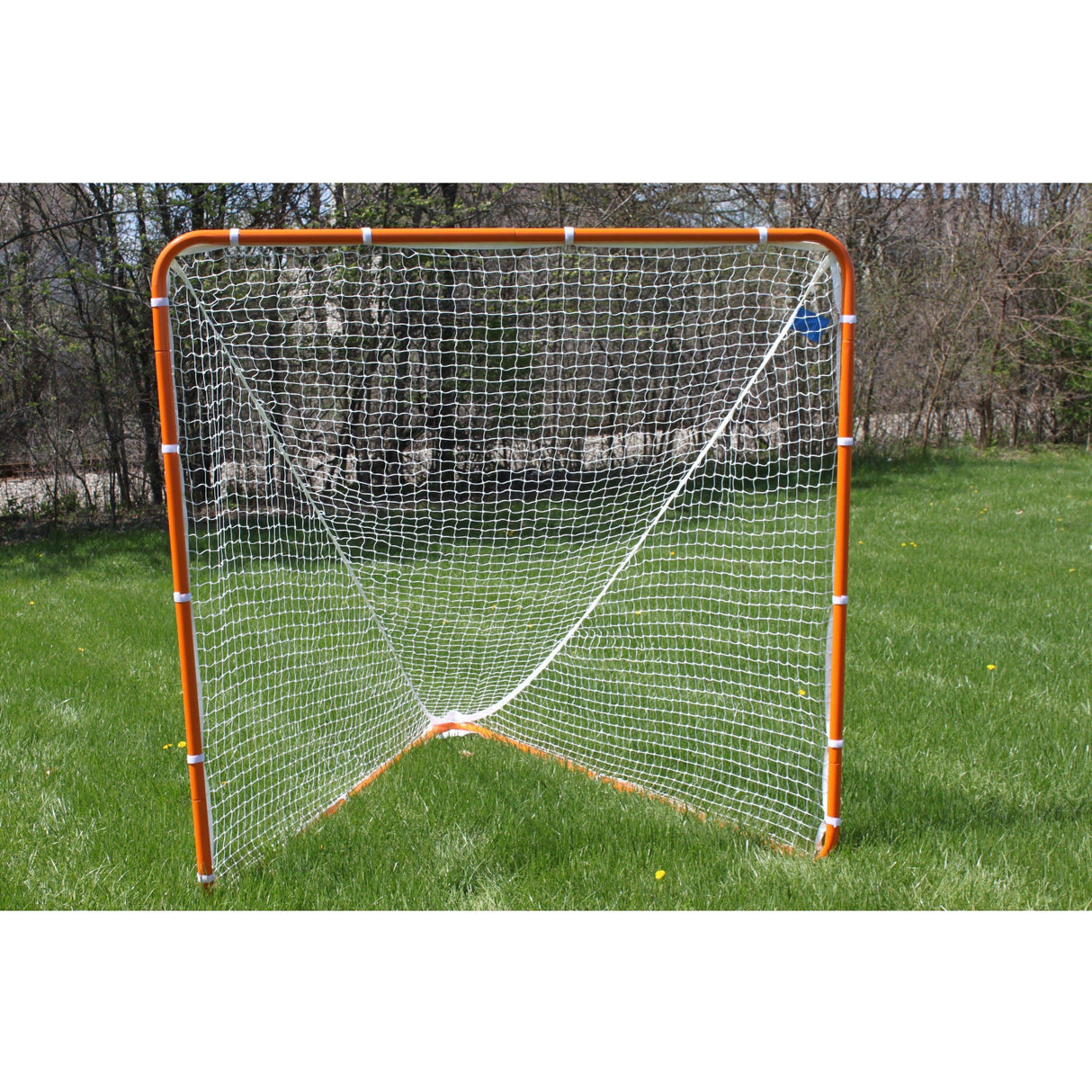 Gared 6' x 6' SlingShot Recreational Lacrosse Goal with Net LG50