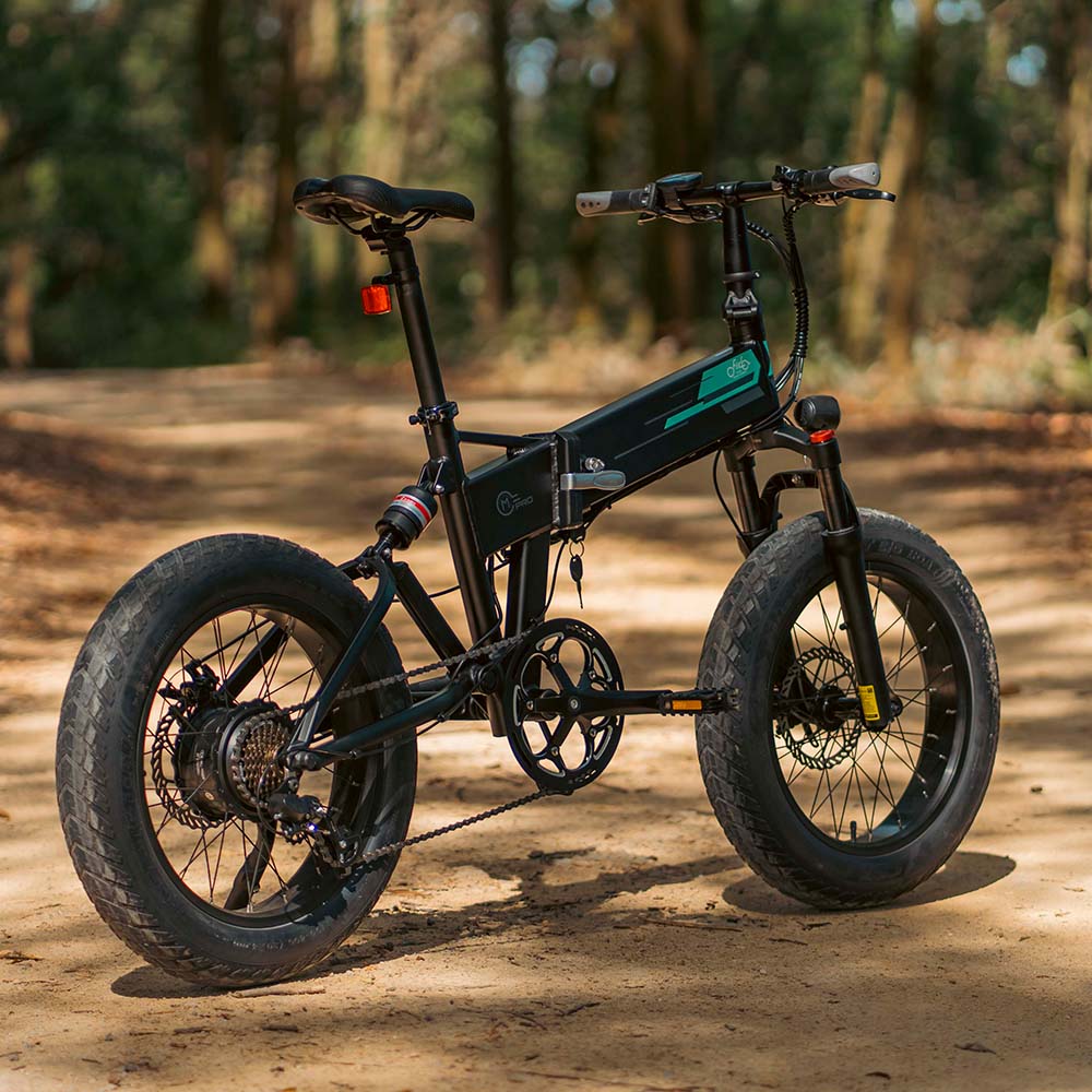 Fiido 500W M1 Pro Fat Tire Electric Bike