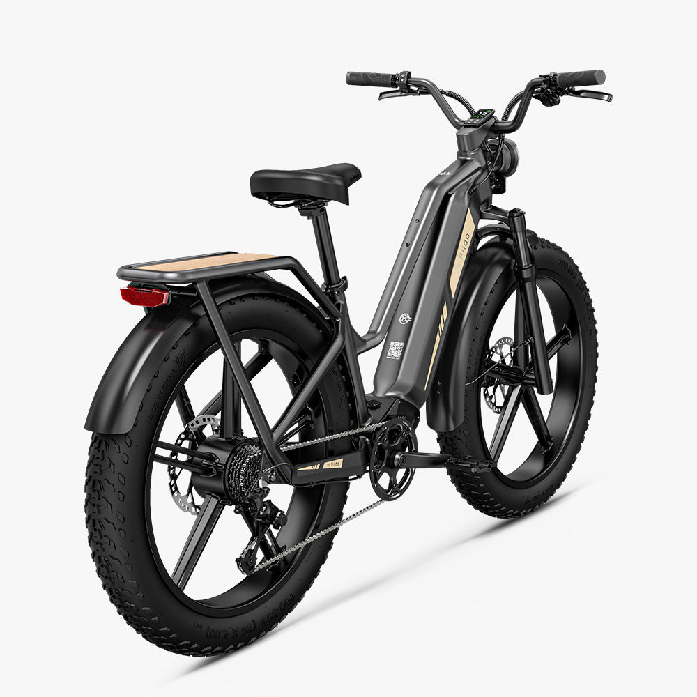 Fiido Titan Cargo Electric Bike | Fat Tire Mountain E-Bike | 84 Miles Long Distance Assist Rang