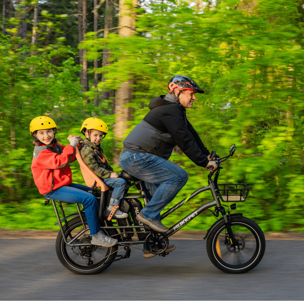 Mukkpet Stepwagon Dual-Battery Cargo E-Bike 750W