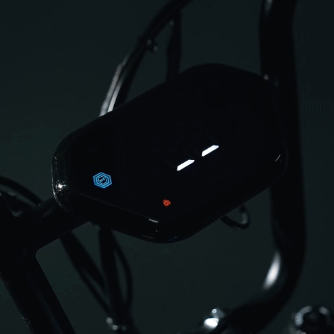 HappyRun 1000W Fastest Ebike G100 Dual Batteries