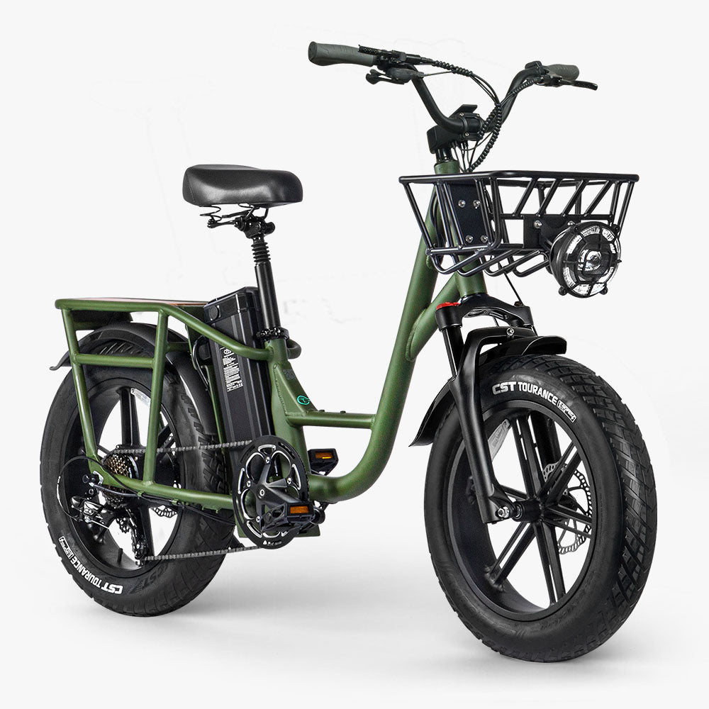 Fiido T1 Pro Cargo E-Bike, Fat Tire, 60Nm, 750W Motor