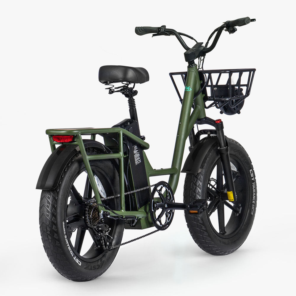 Fiido T1 Pro Cargo E-Bike, Fat Tire, 60Nm, 750W Motor