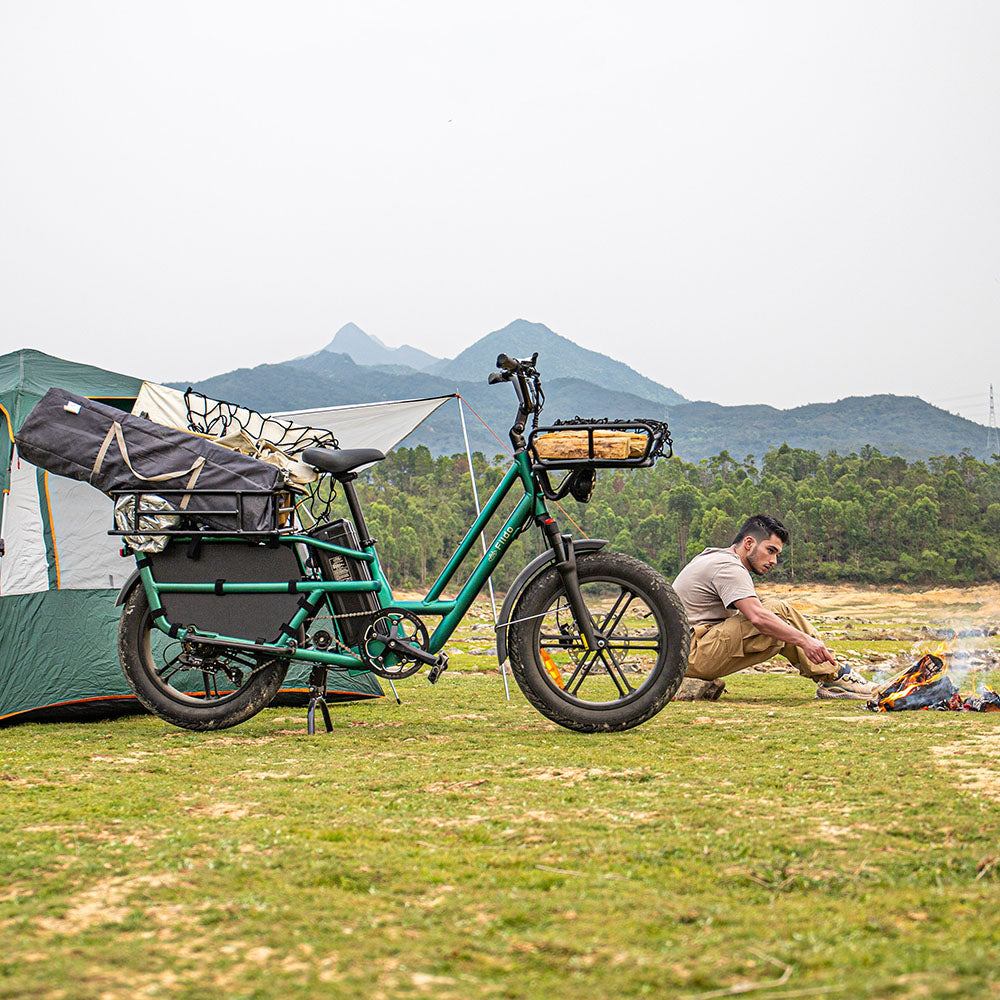 Fiido T2 Longtail Cargo E-bike 750W, 440LBS Capacity