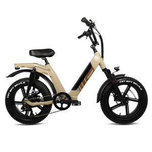 Fat Tire E-Bikes