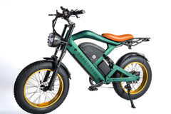 Smartravel Raptor ST202 |Long-Distance Specialists-Electric Commuter Bike