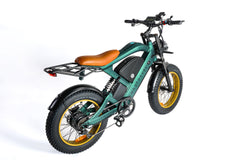 Smartravel Raptor ST202 |Long-Distance Specialists-Electric Commuter Bike