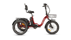 Eunorau  One Trike Electric Fat Tire Tricycle