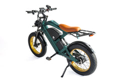 Smartravel Raptor ST202 |Long-Distance Specialists-Electric Commuter Bike