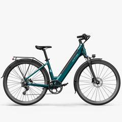 Fiido C11 Electric Bike