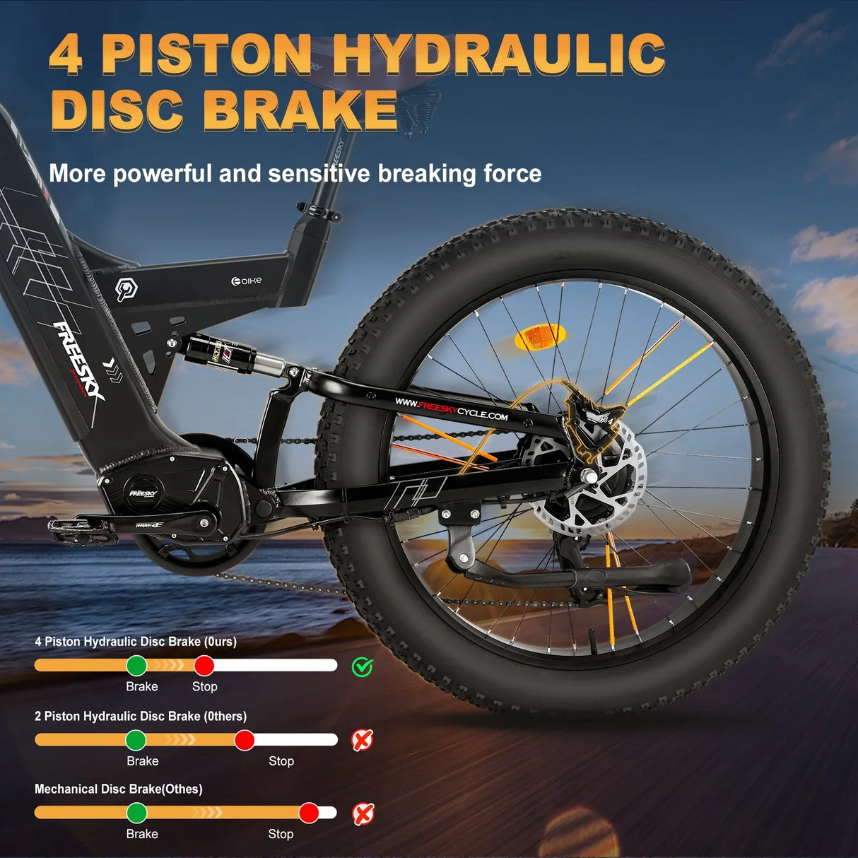 FREESKY Warrior M-530 1000 w Mountain Ebike 4 Fat Tire Electric Fat Tire Mountain eBike