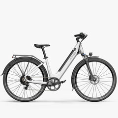 Fiido C11 Electric Bike