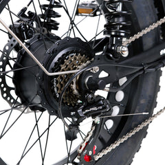 NAKTO Fat Tire Ebike F2
