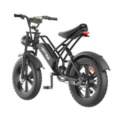 Happyrun Electric Bike Fat Tire Cargo City E-bike G50