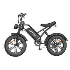 Happyrun Electric Bike Fat Tire Cargo City E-bike G50