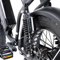 NAKTO Fat Tire Ebike F2