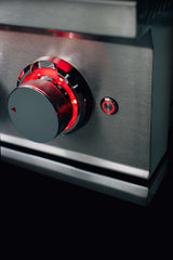 TrueFlame Double Side Burner - TFSB2/L