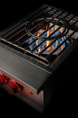 TrueFlame Power Burner - TFPB