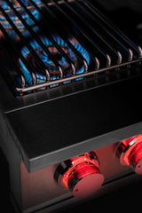 TrueFlame Double Side Burner - TFSB2/L