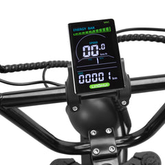 NAKTO Fat Tire Ebike F2